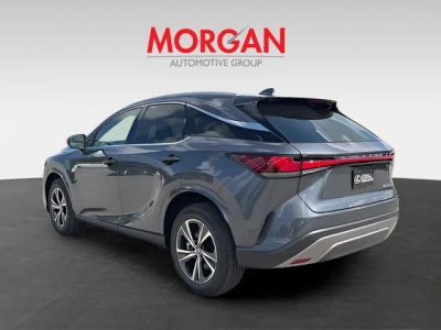 2026 Lexus RX — detail view