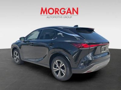 2026 Lexus RX — detail view