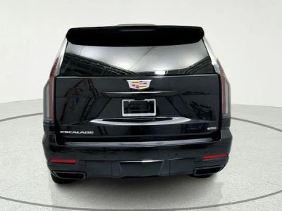 2025 Cadillac Escalade — interior view