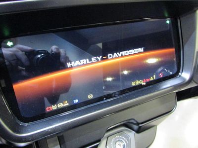 2025 Harley-Davidson FLHX - Street Glide - Photo 15