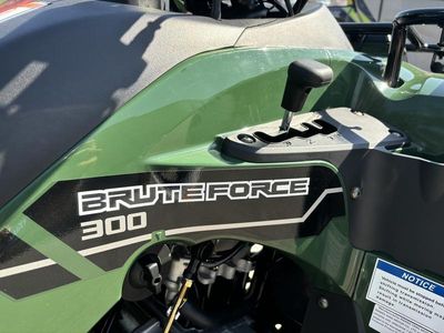 2025 Kawasaki Brute Force 300 - Photo 5