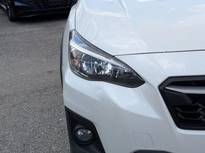2019 Subaru Crosstrek — photo 10 view