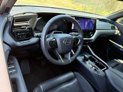 2024 Lexus TX - Photo 3