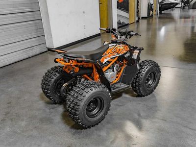 2025 Kayo Predator 125 EFI - Photo 4