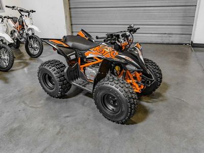 2025 Kayo Predator 125 EFI - Photo 2