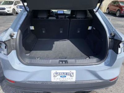 2024 Ford Mustang Mach-E - Photo 12
