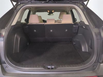 2019 Toyota RAV4 — photo 14 view