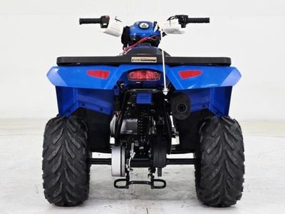 2025 Polaris Sportsman 110 - Photo 6