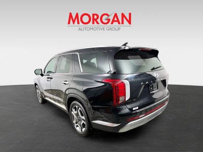 2024 Hyundai Palisade — detail view