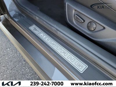 2025 Ford Mustang — photo 19 view