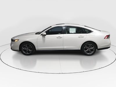 2023 Honda Accord Sedan - Photo 4