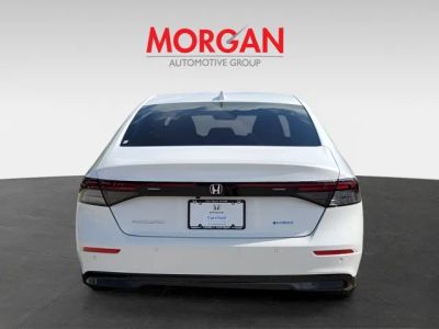 2024 Honda Accord Hybrid — detail view