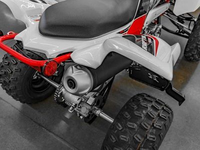2026 Yamaha Raptor 700R SE - Photo 3
