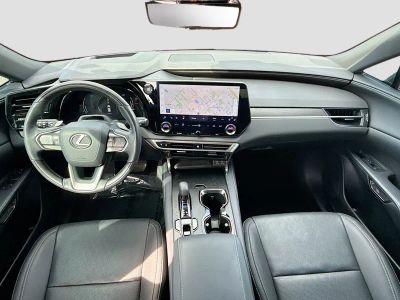 2023 Lexus RX — photo 17 view