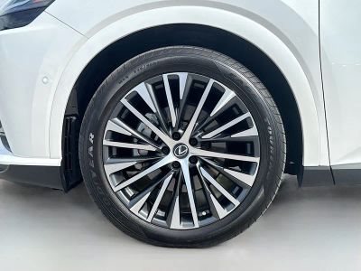 2023 Lexus RX — photo 44 view