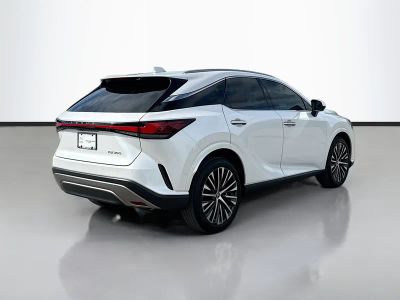 2023 Lexus RX — detail view