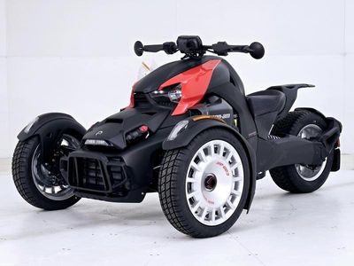 2025 Can-Am Ryker Rally - Photo 2