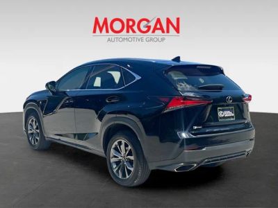 2021 Lexus NX — detail view