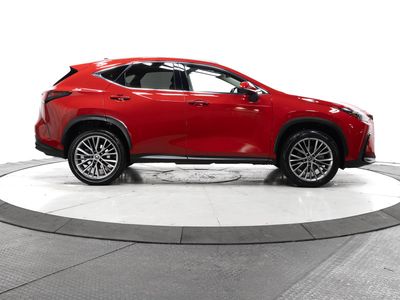 2022 Lexus NX - Photo 13