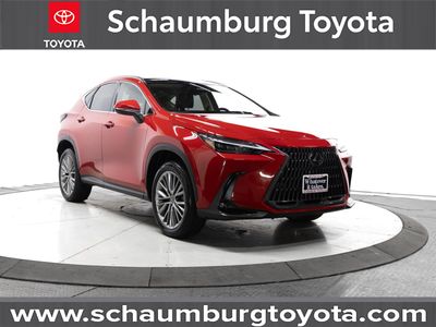 2022 Lexus NX - Photo 1
