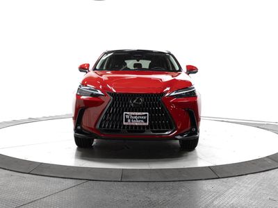 2022 Lexus NX - Photo 2