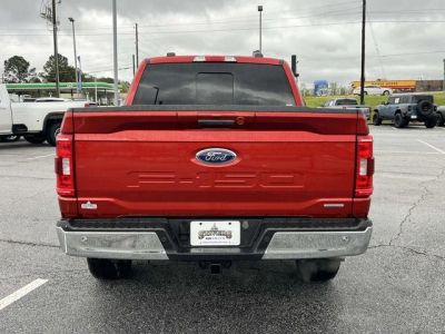 2023 Ford F-150 - Photo 5