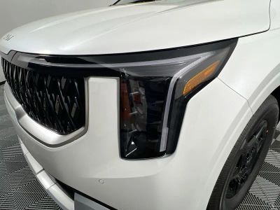 2026 Kia Carnival — photo 11 view