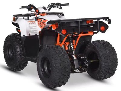 2026 Kayo Bull 110 - Photo 7