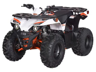 2026 Kayo Bull 110 - Photo 4
