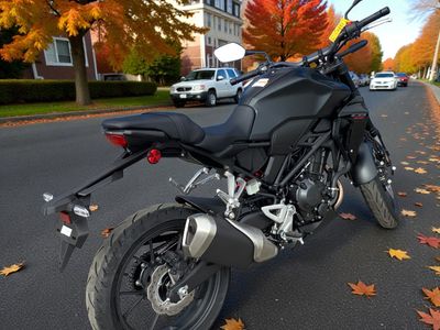 2025 Honda CB300R ABS - Photo 4