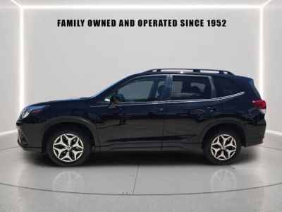 2023 Subaru Forester — detail view