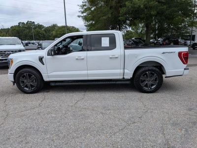 2023 Ford F-150 — side profile view