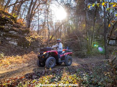 2024 Honda FourTrax Rancher 4x4 Automatic DCT IRS EPS - Photo 13
