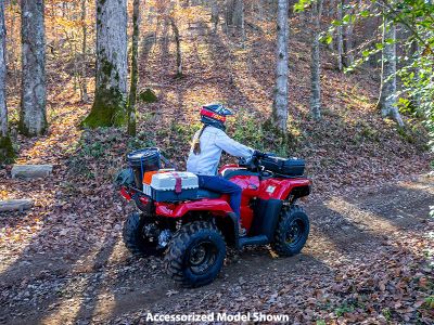 2024 Honda FourTrax Rancher 4x4 Automatic DCT IRS EPS - Photo 15