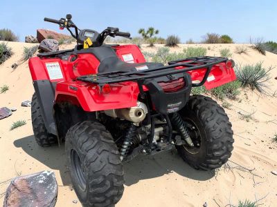 2024 Honda FourTrax Rancher 4x4 Automatic DCT IRS EPS - Photo 3