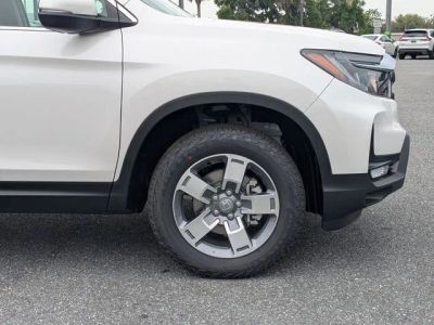 2026 Honda Ridgeline — photo 11 view