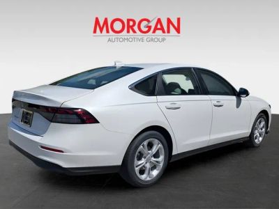 2026 Honda Accord — rear three-quarter view
