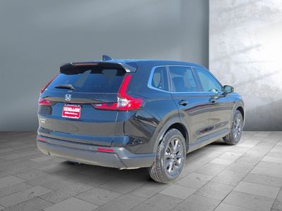 2026 Honda CR-V - Photo 6