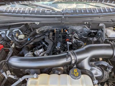 2024 Ford Expedition - Photo 10