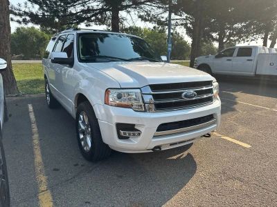 2015 Ford Expedition — detail view