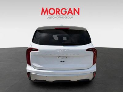 2024 Kia Telluride — detail view
