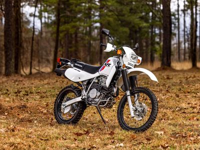 2025 Honda XR650L - Photo 6