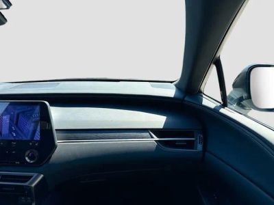 2024 Lexus RX — photo 19 view
