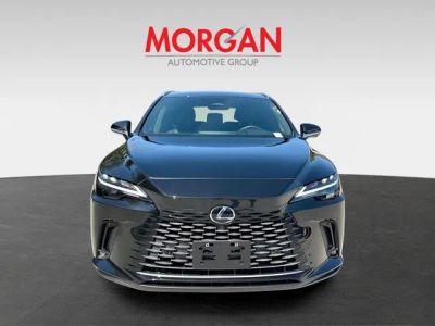 2024 Lexus RX — photo 8 view