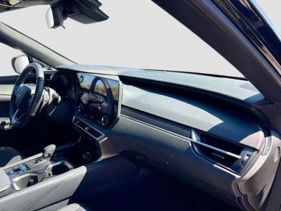 2024 Lexus RX — photo 15 view