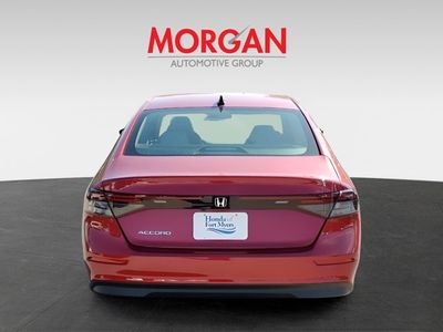 2025 Honda Accord Sedan - Photo 6