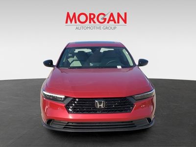 2025 Honda Accord Sedan - Photo 2
