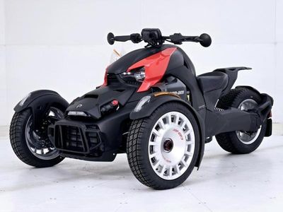 2025 Can-Am Ryker Rally - Photo 2