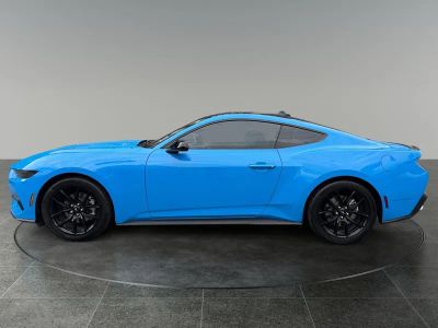 2025 Ford Mustang — detail view