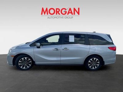 2024 Honda Odyssey — detail view